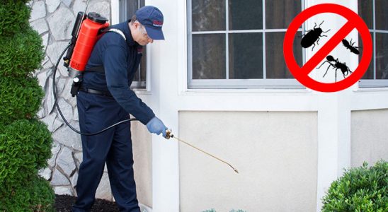 Çameli Dezenfeksiyon böcek ilaçlama ve haşere kontrolü — ilaclama-tr.com